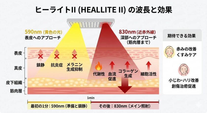 ヒーライトの波長の効果
